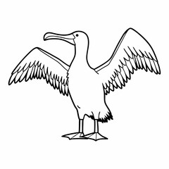 Albatross Vector Art