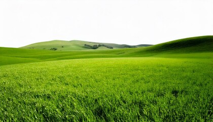 Obraz premium Vibrant Green Grassland Landscape Isolated on White or Transparent PNG Background for Designs