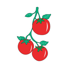 tomato and basil leaves