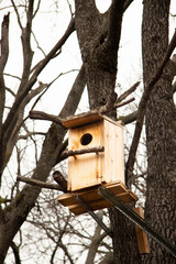 handmade birdhouse in a tree