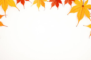 Frame of autumn bright maple leaves on a white background, minimalism