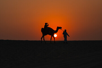 Qatar Desert Camel Caravan in the Sunset Time Photo, Doha Qatar