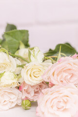 Pale pink and white roses lying on white background, macro, copy space. Blurred floral background with beautiful rose flowers, still life, love, spring, romance design
