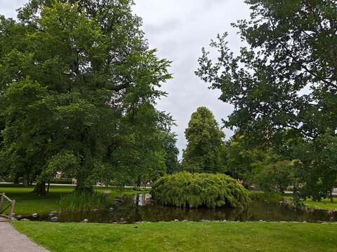 Lush green park with tall trees surrounding a small pond, creating a serene and natural atmosphere, perfect for relaxation