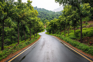 Fototapeta premium Road with trees on both sides and a few cars on it. The road is wet and the trees are green