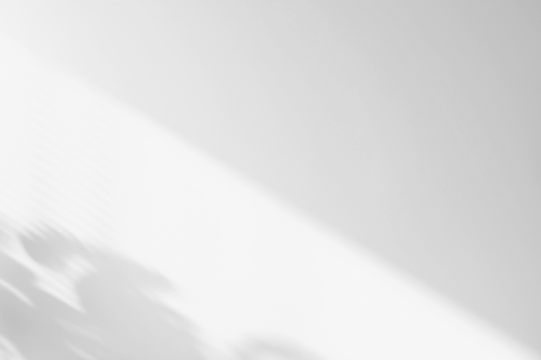 PNG Bohemian architecture flooring hardwood.