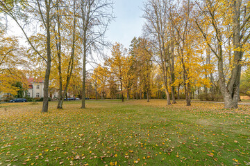 jesień, liście, drzewa, jesienią, drzew, październik, liści, krajobraz, zółty, złota, park, ogród © Maciej