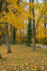 park jesień, jesienne wrzosy , dynie , dekoracje,  schody pałacowe