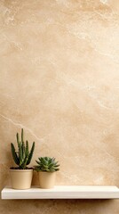 Charming cacti and succulents arranged on a white shelf against a soft beige wall, inviting natural beauty into your space