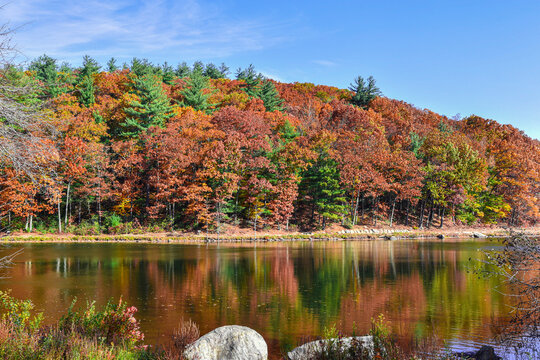 autumn  day by the pond at barrett park