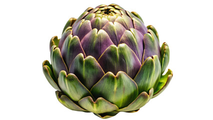 Obraz premium Fresh Whole Artichoke with Closed Green Leaves Isolated on White Background