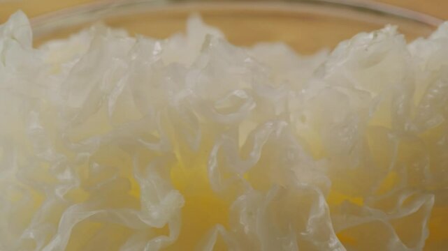 Tremella fermented salted Jamur salju or snow fungus, white colored fungi for food and medicine, popular in China and also Chinese cuisine. 