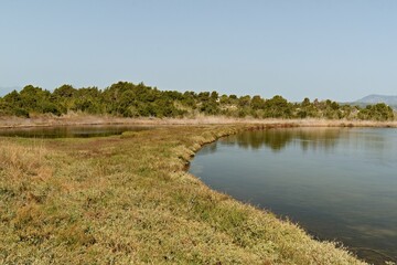 A view of Gialova Lagoon with its brackish water, located near the city of Pylos. Messinia, Peloponnese. Greece.
