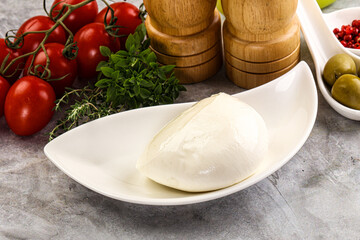 Gurmet organic mozzatla dairy cheese