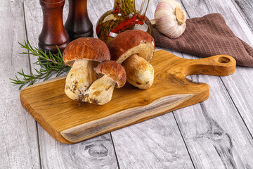 Raw natural wild porchini mushrooms