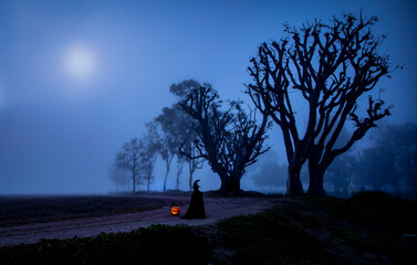 A moonlit halloween scene with bare trees in the fog with a silhouette of a witch and a jack-o-lantern pumpkin 
