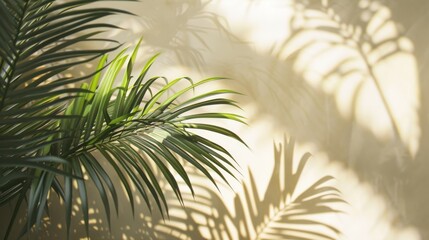 Neutral tropical palm mockup with soft light and shadows