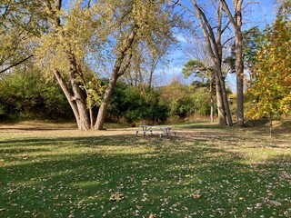 autumn in the park