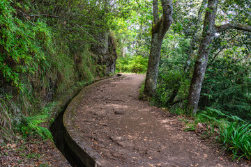 The beautiful trail PR11 Levada dos Balcoes in Madeira, Portugal.