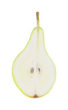 recommend clip art: Pear fruit hand drawn illustration. Colorful pencils realistic drawing. Organic, natural plant clipart