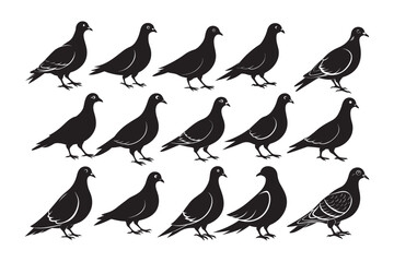Mourning Dove Silhouette vector bundle, Mourning Dove Silhouette, Mourning Dove Silhouette Bundle 