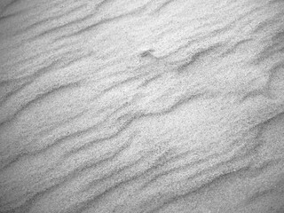 Fine sand on a beach was formed by wind into a wave structure with many fine ripples and slight shadows
