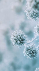 The world of viruses under the microscope