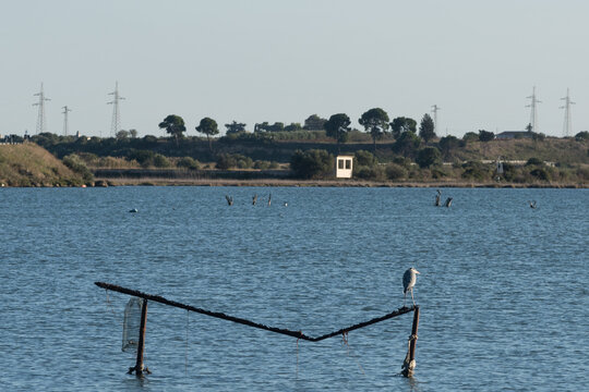 marpiccolo di taranto
