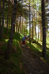 Fototapeta premium capracotta,molise,nature,landscape,trekking,mountain
