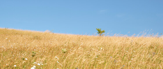 capracotta,molise,nature,landscape,trekking,mountain
