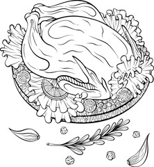 Baked chicken. Roasted turkey Thanksgiving dinner main course. Chicken for Christmas menu. Vector illustration in hand drawn sketch doodle style. Line art isolated on white for coloring book, print