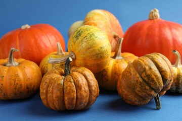 Group of fresh pumpkins on blue background, closeup