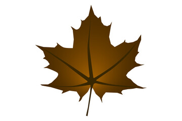 One autumn leaf on a real transparent background. Leaf for background and creating different bright autumn backgrounds. Png illustration