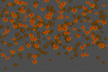 Wave of falling leaves. Pattern of autumn leaves falling gently on a white background. Isolated autumn leaves on a transparent background. Vector Ilustration.