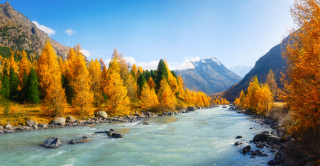 Autumn landscape in Switzerland. Sunrise in the mountains. Fog and fall forest. Blue mountain river. Incredible view of the mountain valley. Photo for background, wallpaper, postcards.