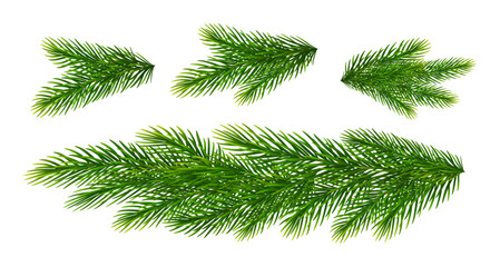 Christmas fir tree branches. Pine, spruce green branches and border for Christmas decorations. Vector illustration