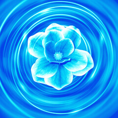 Blue magnolia flower on a blue water background © Vctor