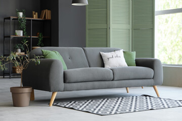 Comfortable sofa and carpet in living room