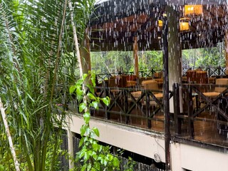 Rain in the rainforest