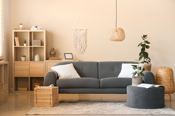 Comfortable sofa, pouf and houseplant in interior of living room