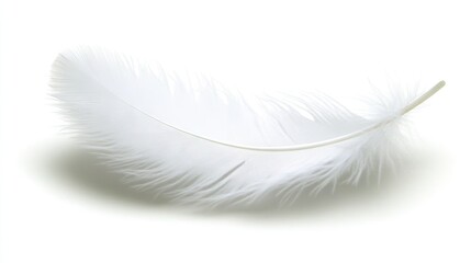 Obraz premium Floating white feather with transparency effect, symbolizing lightness and purity