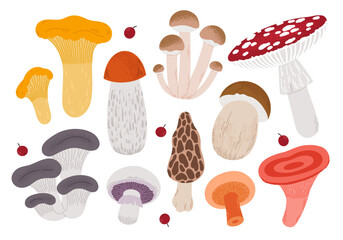 Mushrooms cartoon. Poisonous and edible mushrooms, chanterelles, porcini mushrooms, fly agarics, morels, champignons, honey agarics, oyster mushrooms, set of isolated vector illustrations. 