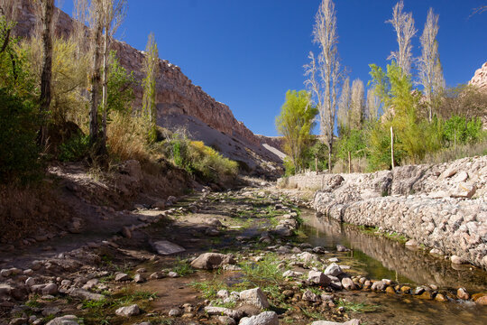 Valle de Jerez o quebrada de Jer&eacute;, san Pedro de Atacama, Chile. Un oasis a las afueras del pueblo de Toconao