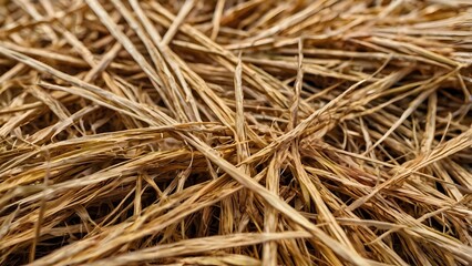 Rustic Close-Up of Dry Straw Texture: Detailed, Earthy, Agricultural Background