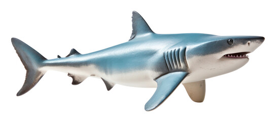 Obraz premium PNG Animal shark fish aggression.