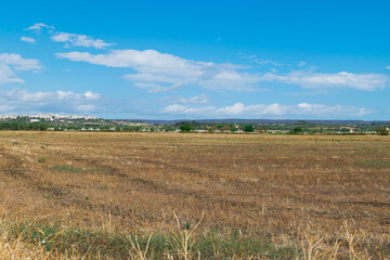 Obraz premium paesaggio rurale