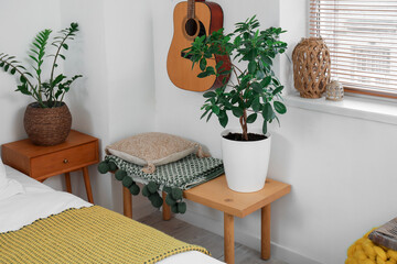 Interior of bedroom with bench, houseplants and guitar