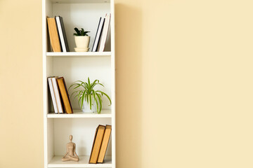 Shelving unit with books, houseplant and human figure near beige wall in room