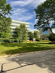 Obraz premium park in the city