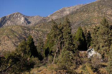 Afternoon sun shines on forest and San Bernardino Mountains of Oak Glen, California, USA.